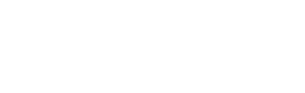 Avaroa Cables Limited