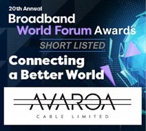 Global telecommunications industry award